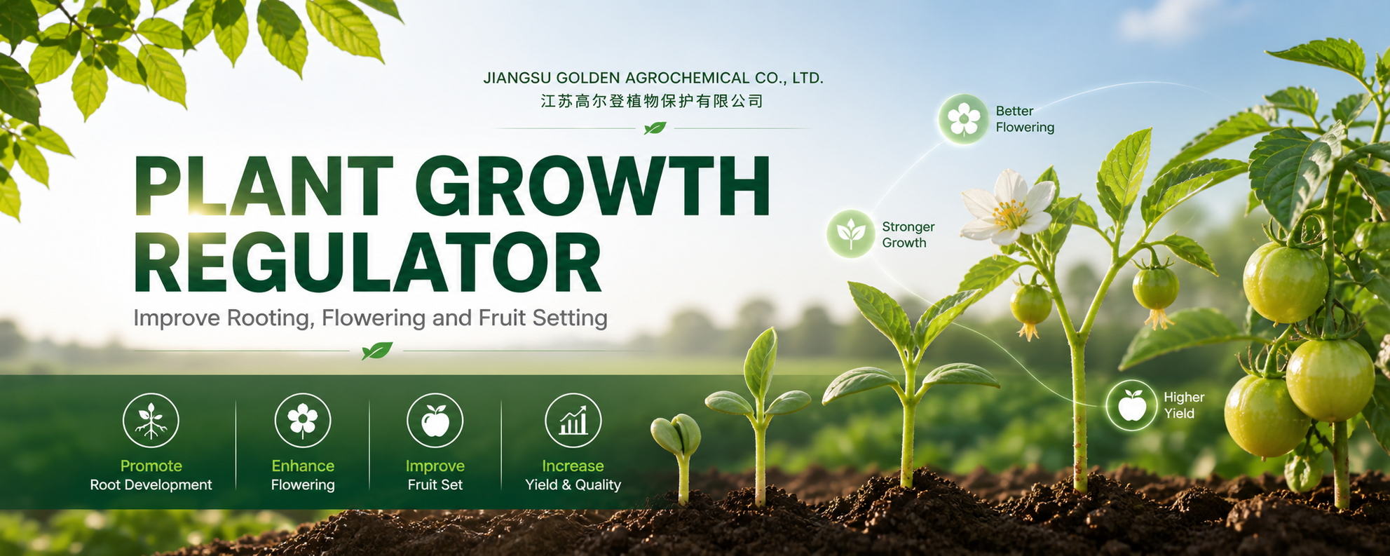 Growth Regulator Banner